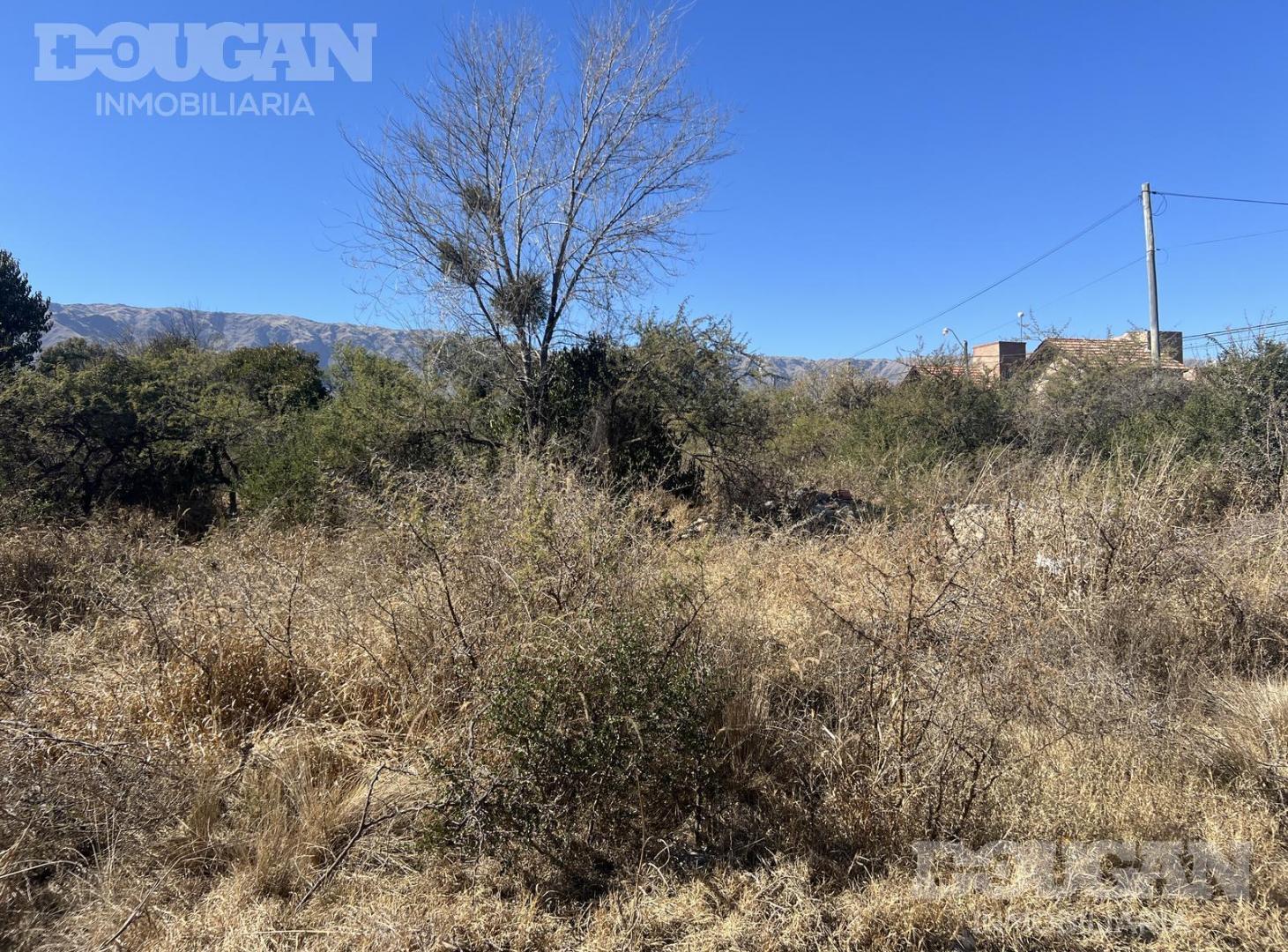 Foto de Terreno en venta - A Tres Cuadras de Avenida del Sol, imagen 3