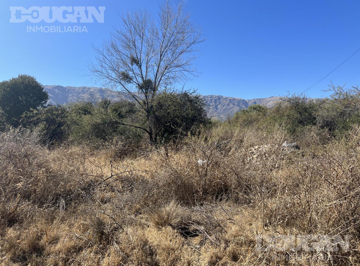 Foto de Terreno en venta - A Tres Cuadras de Avenida del Sol, imagen 5