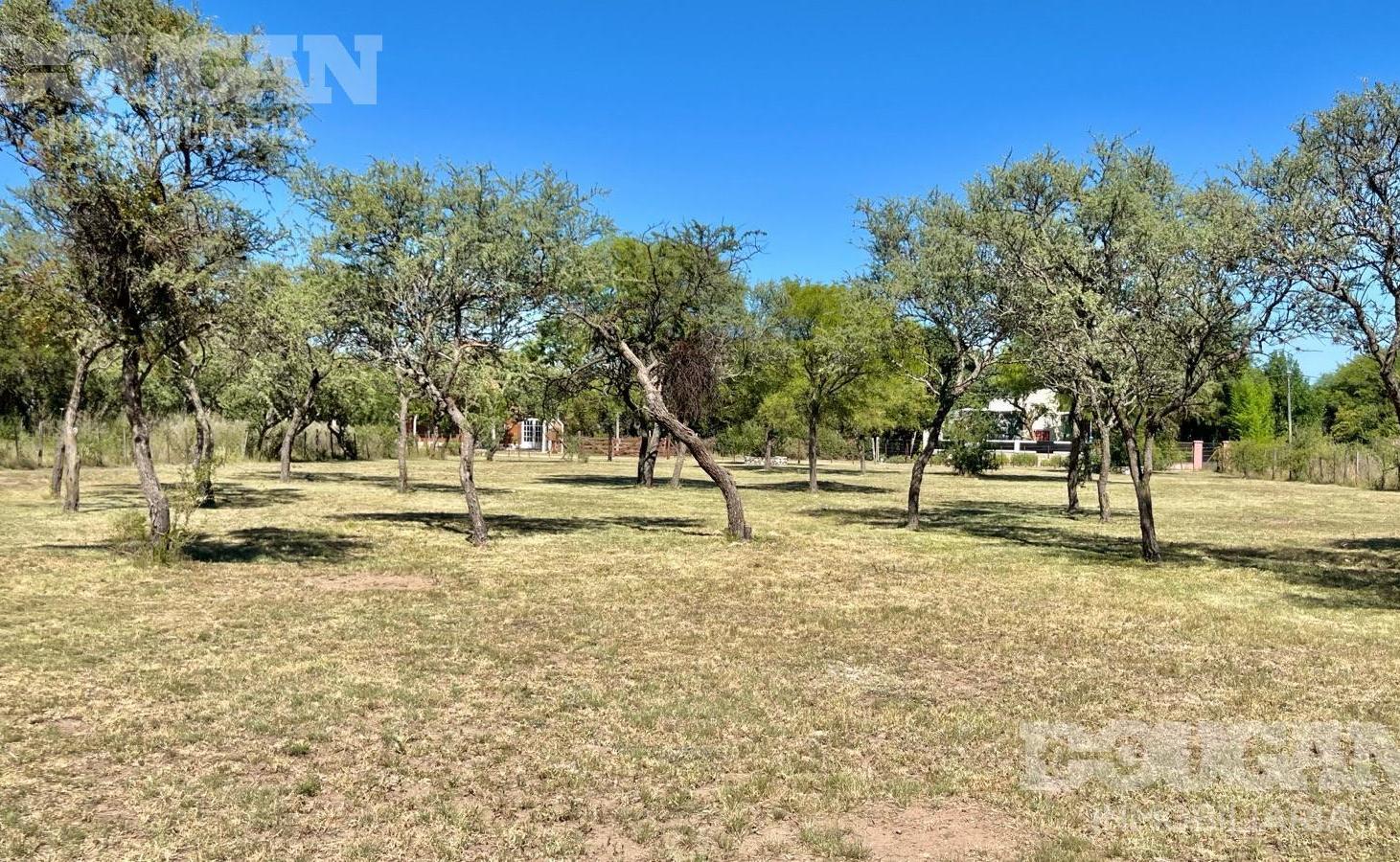 Foto de VENTA - Lote parquizado - Los Molles, imagen 3