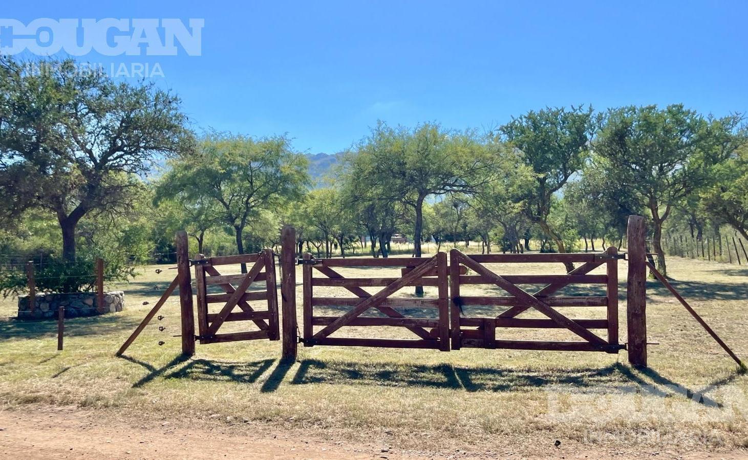 Foto de VENTA - Lote parquizado - Los Molles, imagen 4