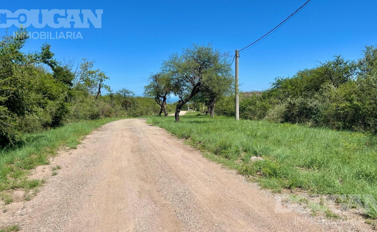 Foto de Lote a la venta en Carpintería - San Luis, imagen 4