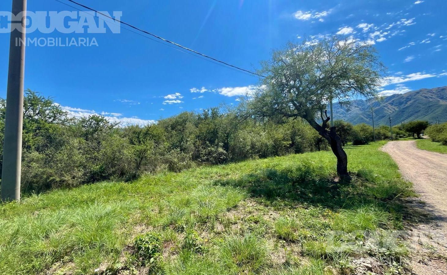 Foto de Lote a la venta en Carpintería - San Luis, imagen 2