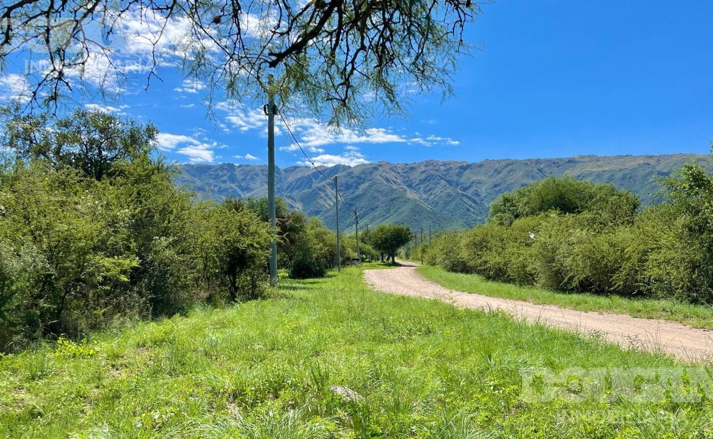 Foto de Lote a la venta en Carpintería - San Luis, imagen 5