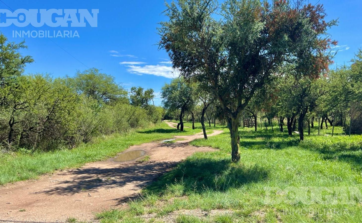 Foto de Lote a la venta en Carpintería - San Luis, imagen 3