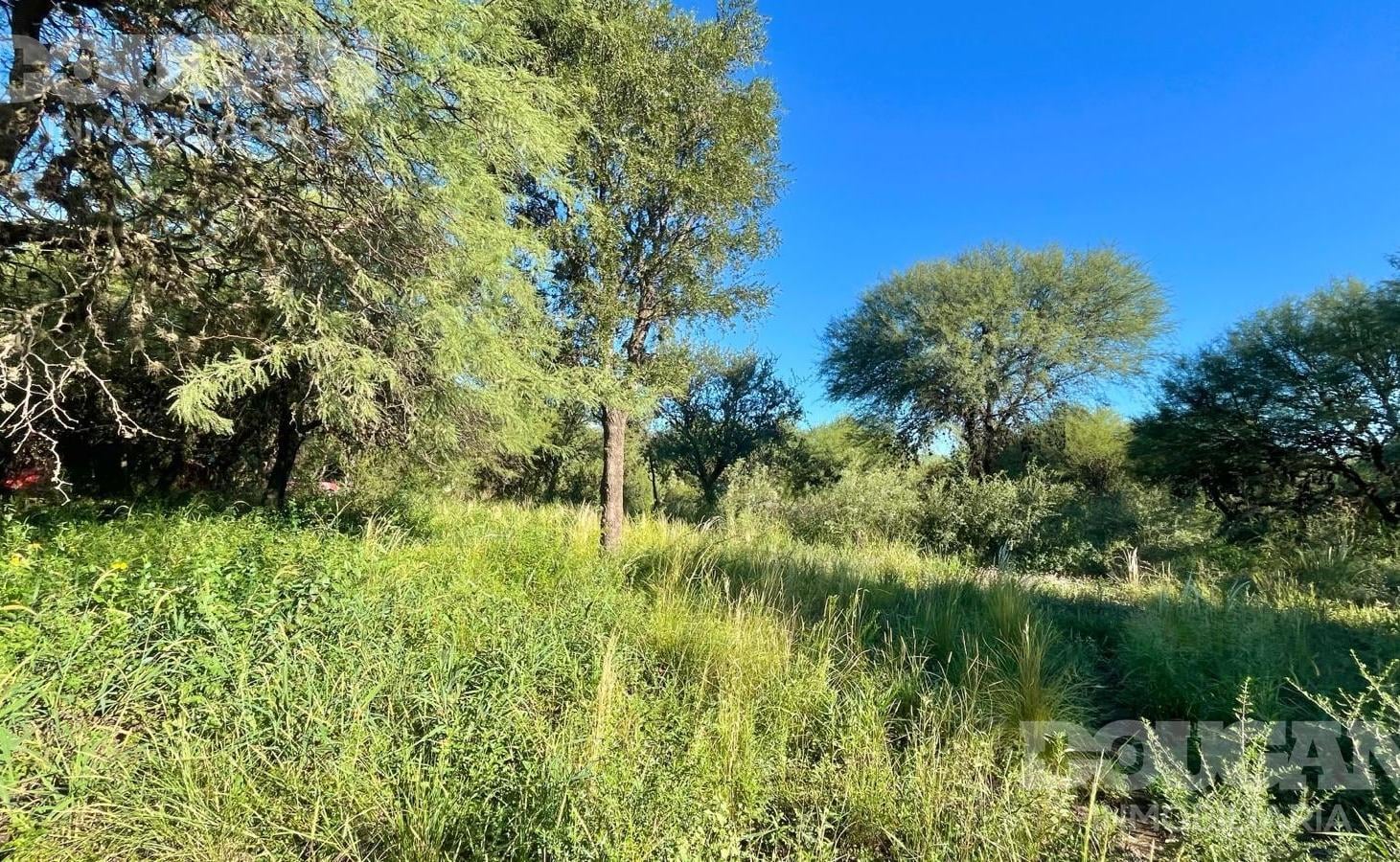 Foto de Lote de 2000 m2 a la Venta - Carpintería San Luis, imagen 4