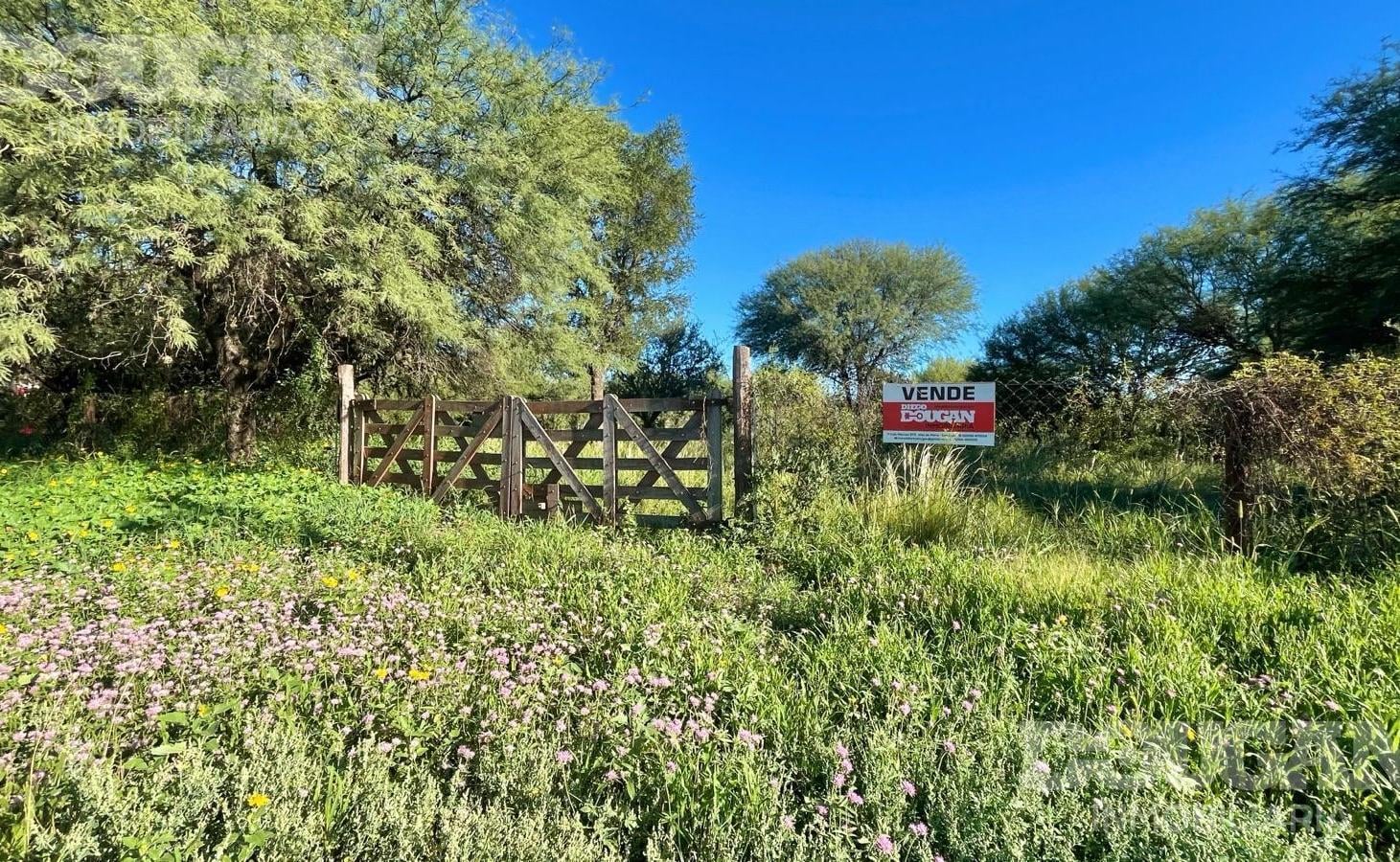 Foto de Lote de 2000 m2 a la Venta - Carpintería San Luis, imagen 2