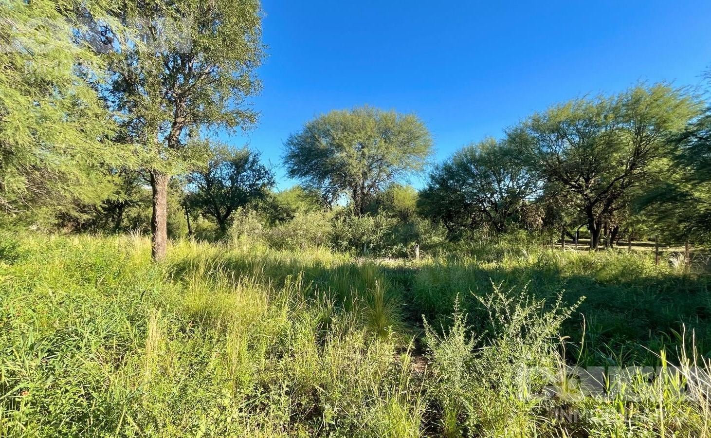 Foto de Lote de 2000 m2 a la Venta - Carpintería San Luis, imagen 3