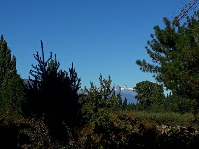 Terreno - Ruta 16 2