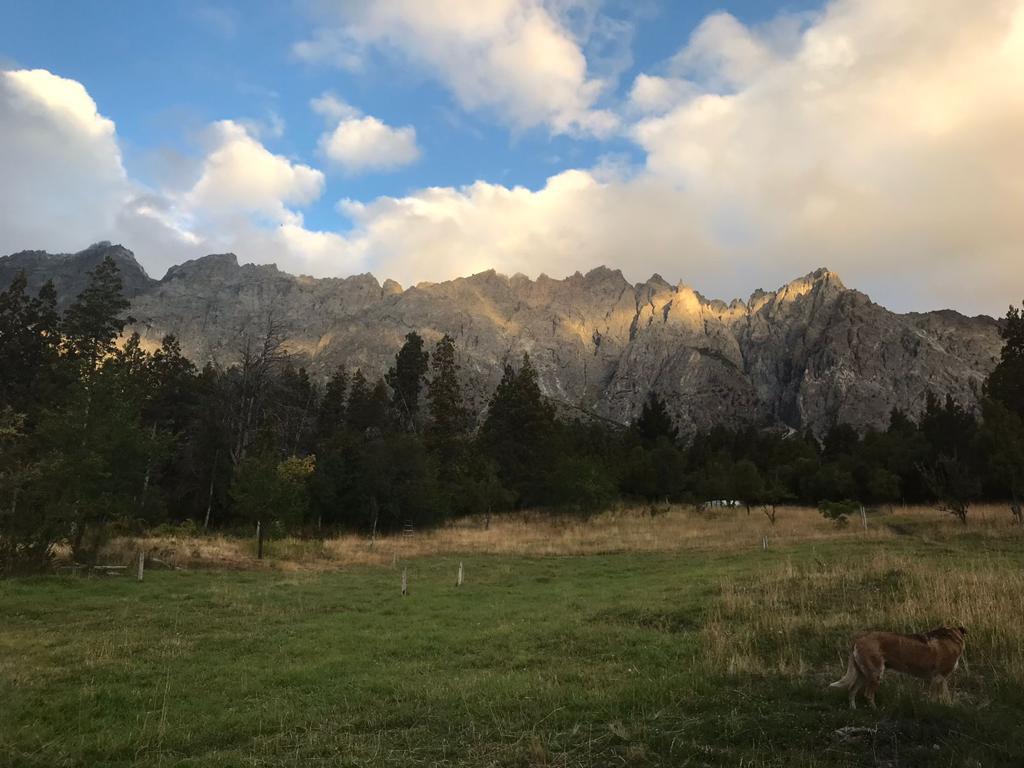 Foto de Chacra de 12,5 Hectáreas en la Zona Alta de Las Golondrinas, imagen 5