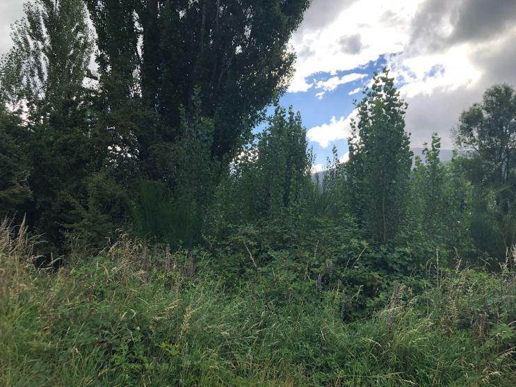 Terreno - Lago Puelo 2