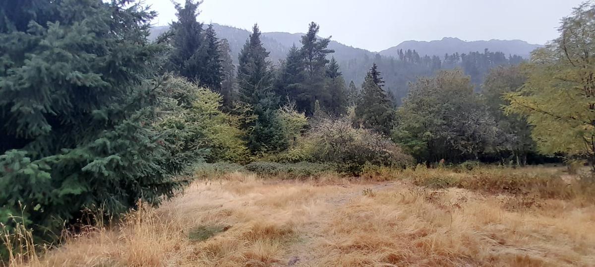 Amplios Lotes en El Centro de Lago Puelo 781 m² con Todos Los Servicios 3