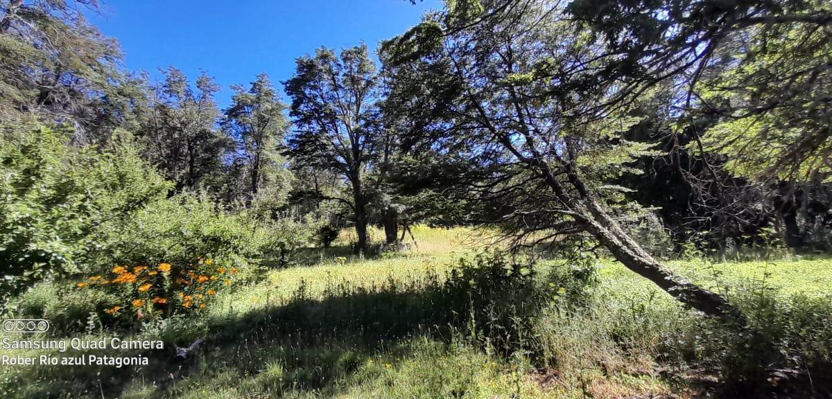 Chacra de 34 Ha. Cerro Coihue. Ruta 70. $340.000 Usd 3