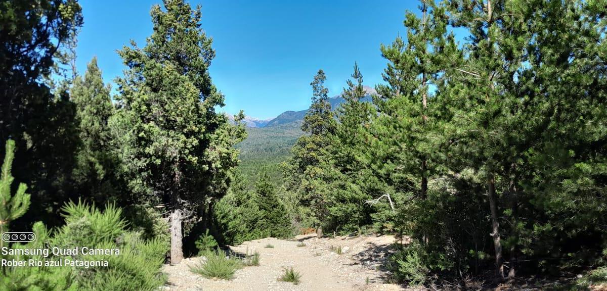 Chacra de 34 Ha. Cerro Coihue. Ruta 70. $340.000 Usd 4