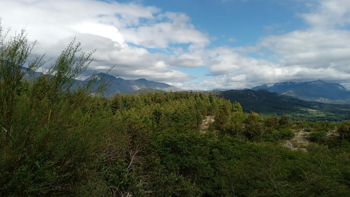 Chacra - Mallin Ahogado