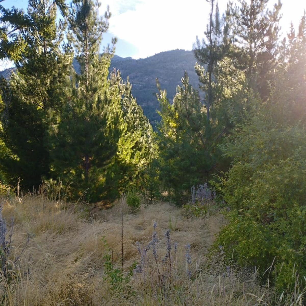 Terreno en Cerro Radal 2