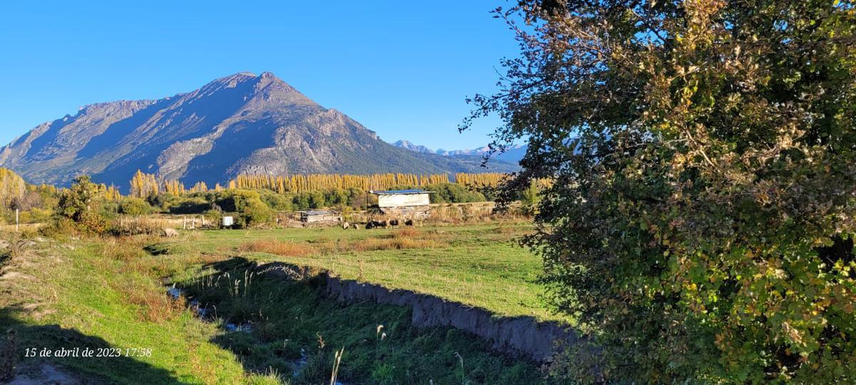 Campo en El Hoyo - Chubut 5