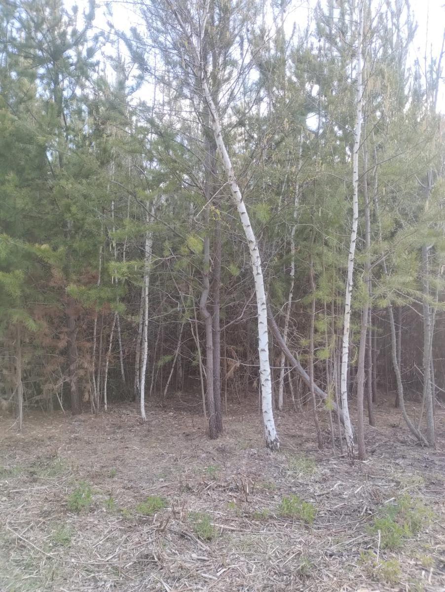 Terreno en Cerro Radal 5