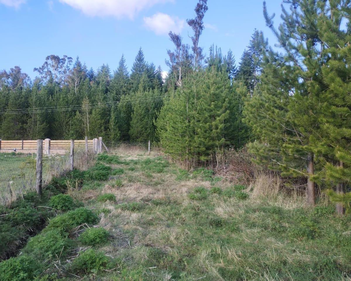 Terreno en Cerro Radal 2