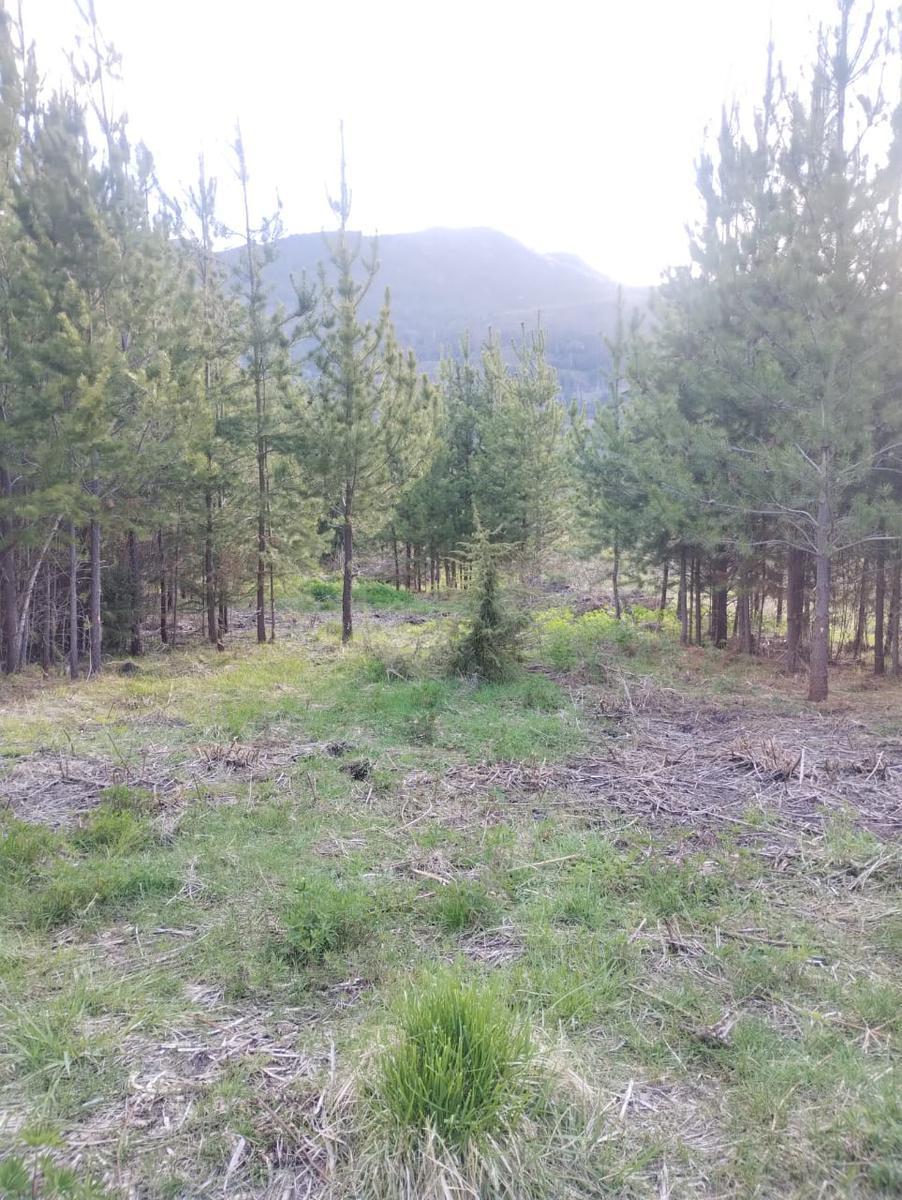 Terreno en Cerro Radal 1