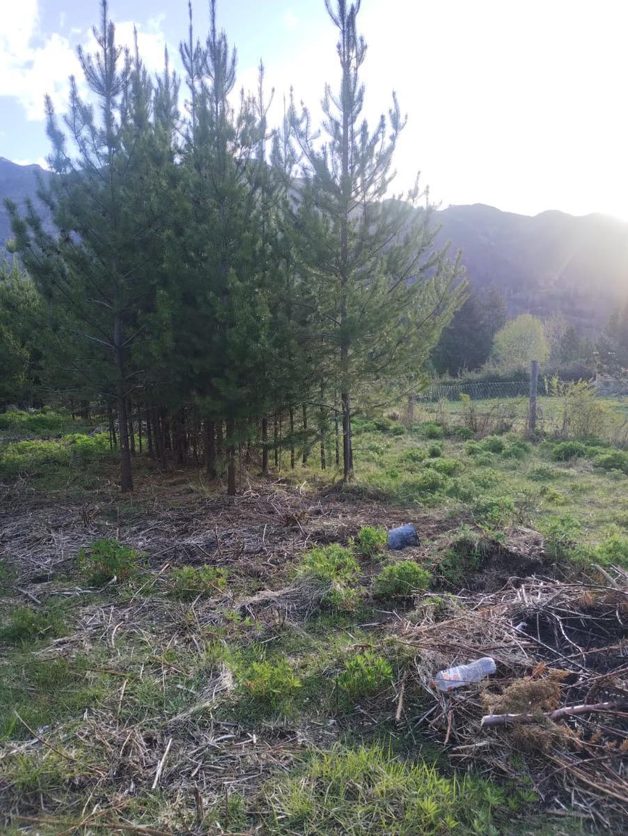 Terreno en Cerro Radal 3