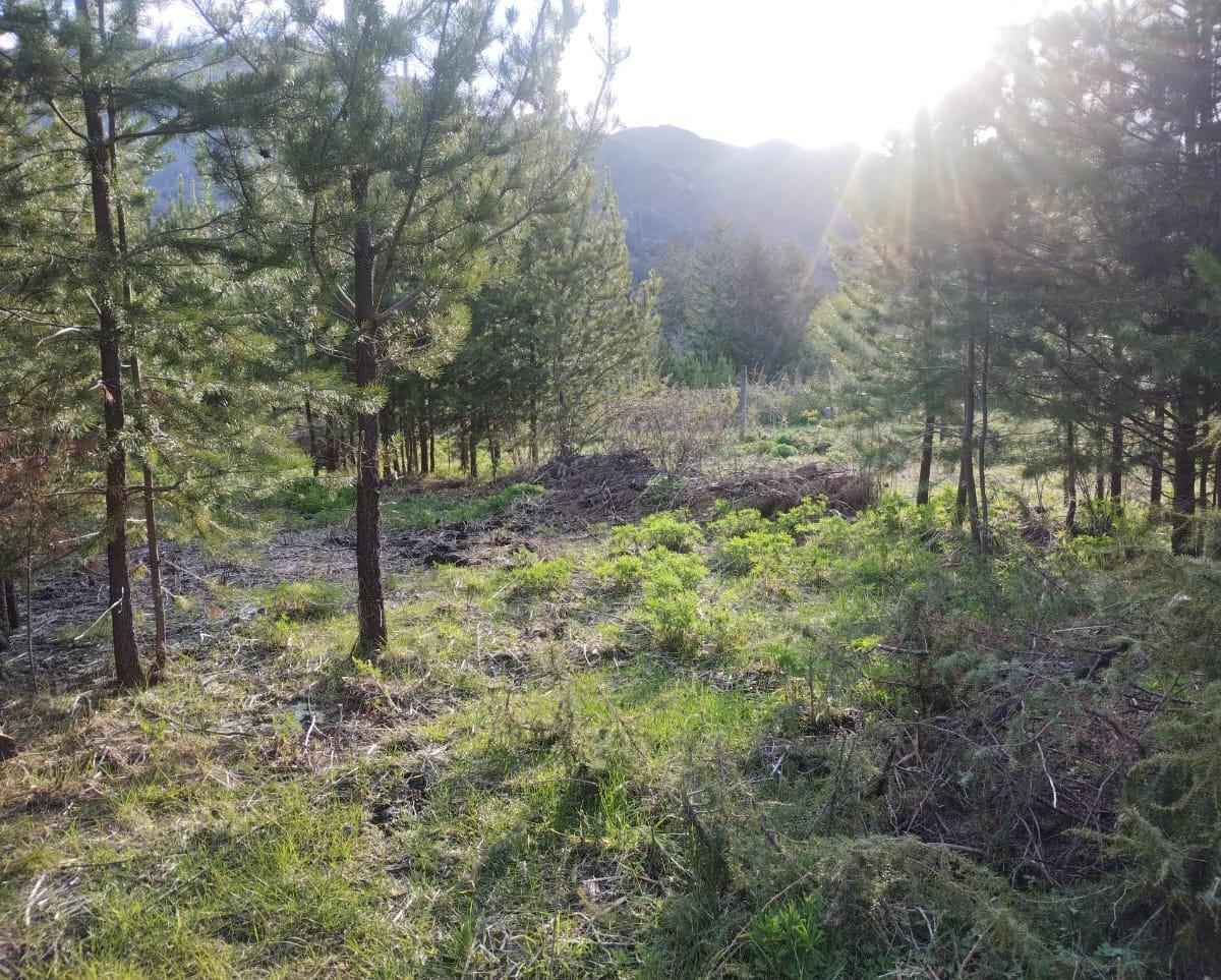 Terreno en Cerro Radal 5