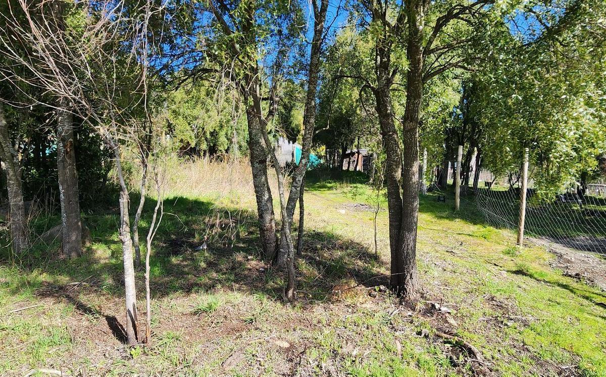 Terreno en Barrio Buena Vista 5