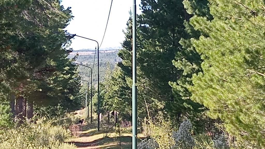 Foto de Terreno en Altos de Epuyén, imagen 5