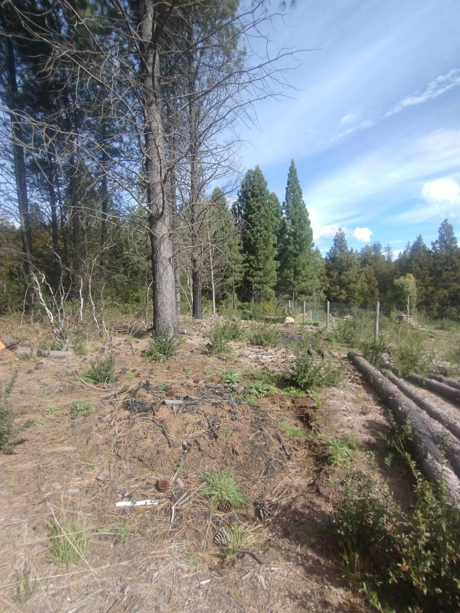 Terreno en Mallin Ahogado