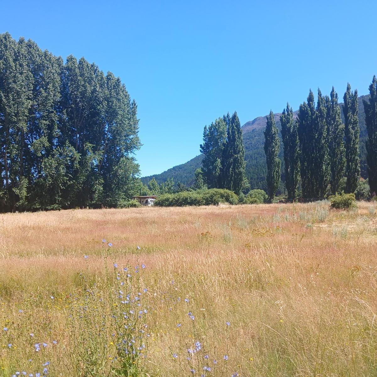 Chacra en Pedregoso 3