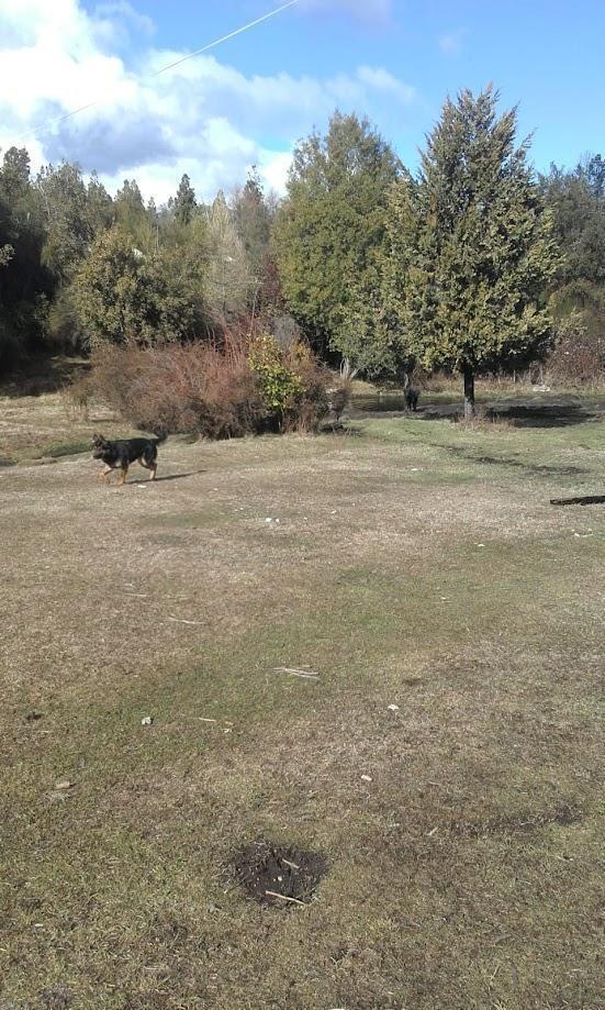 Chacra en Mallin Ahogado