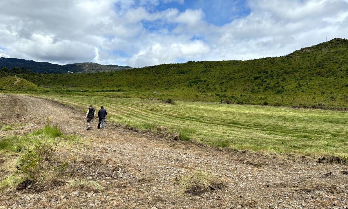 Terreno en El Hoyo 2