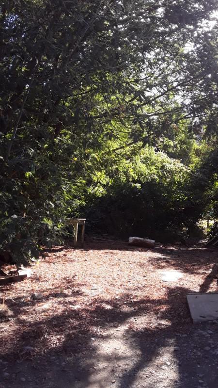 Local - Lago Puelo 2