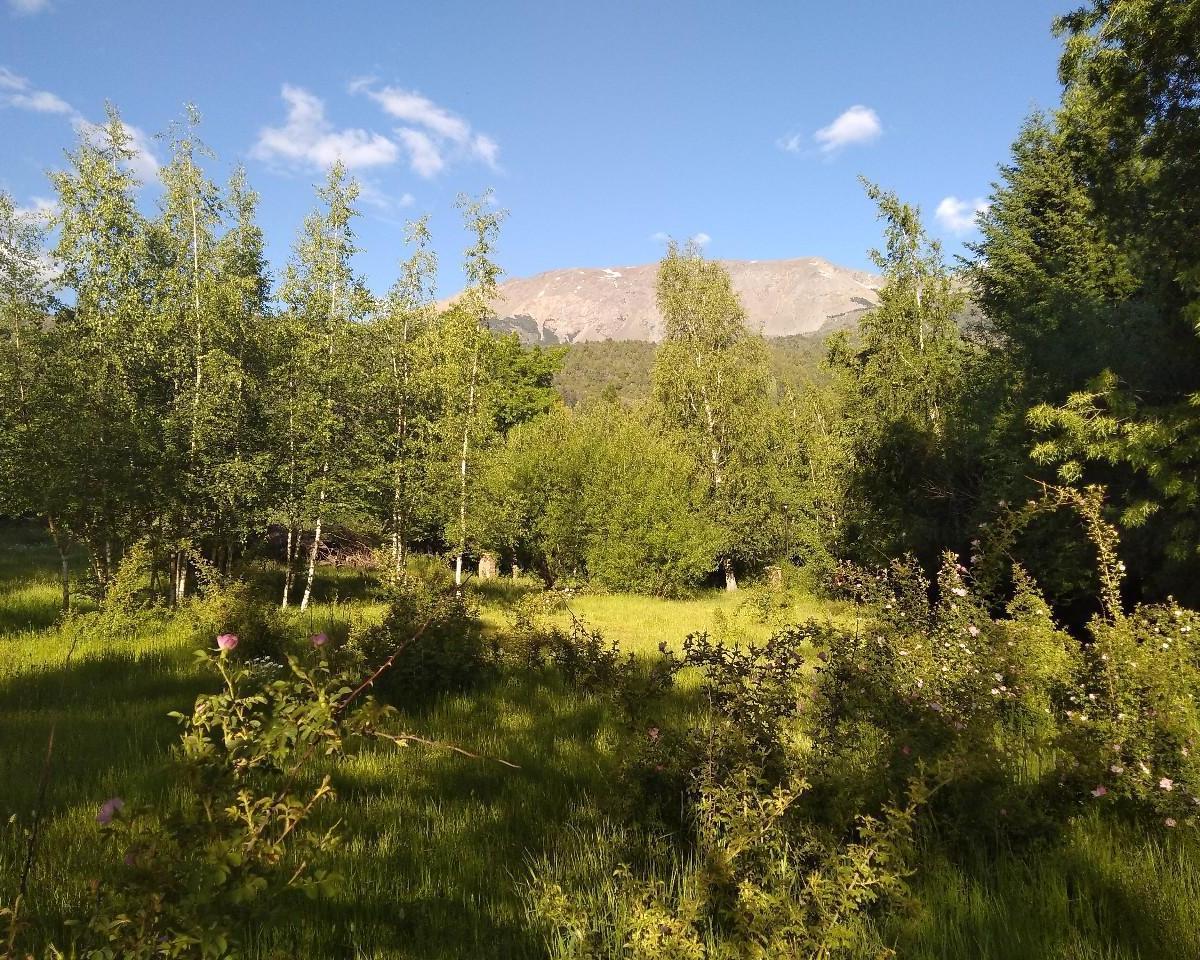 Terreno en Cerro Amigo El Bolsón 5