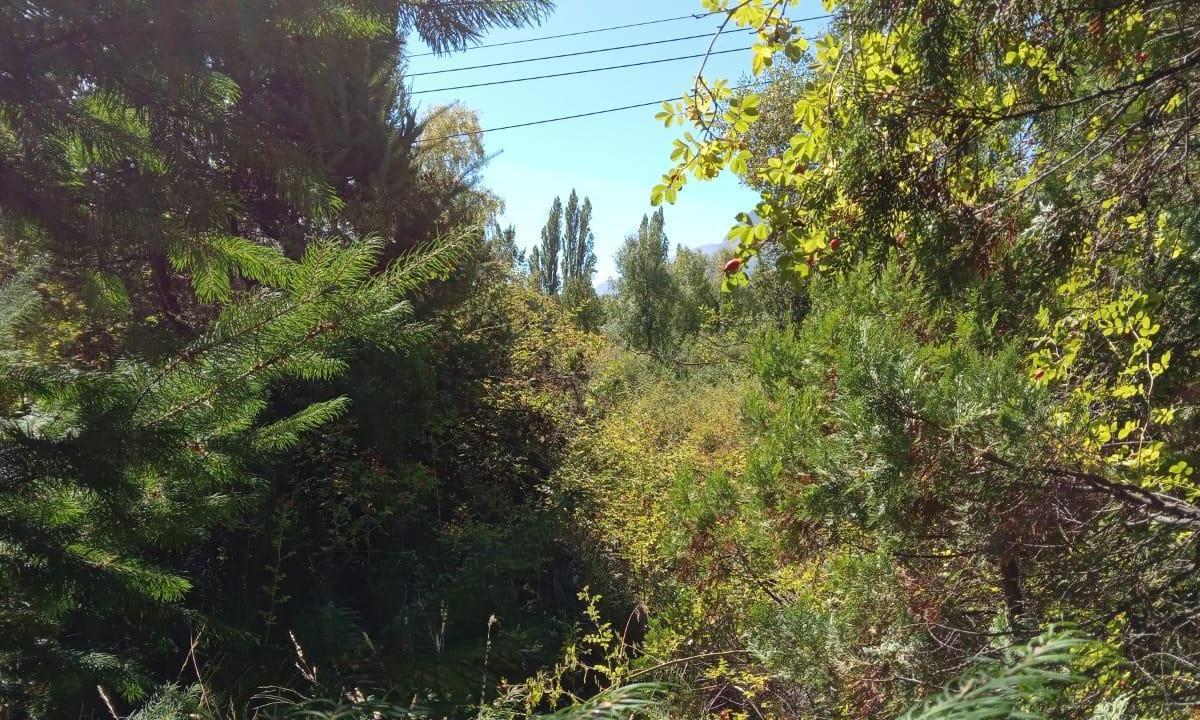 Terreno en El Hoyo 2