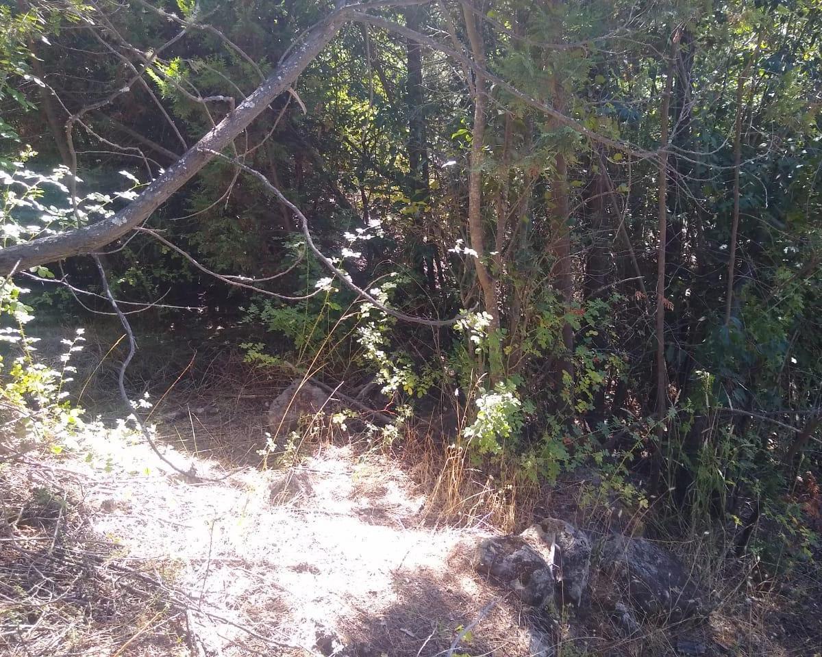 Terreno en El Hoyo 5