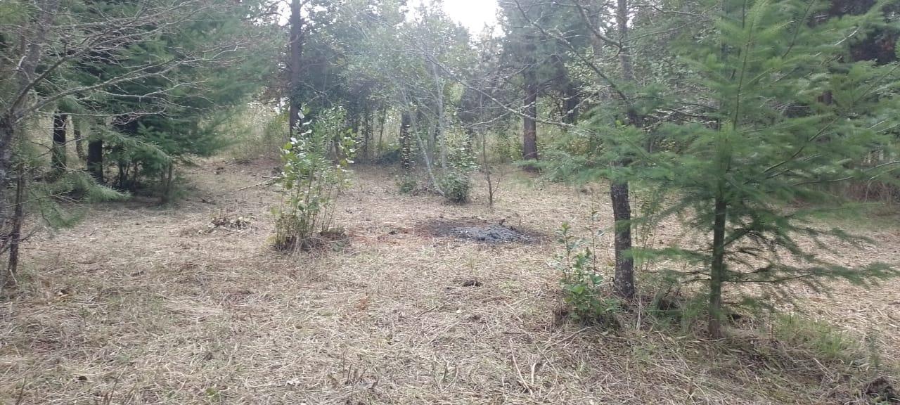 Terreno en Mallin Ahogado