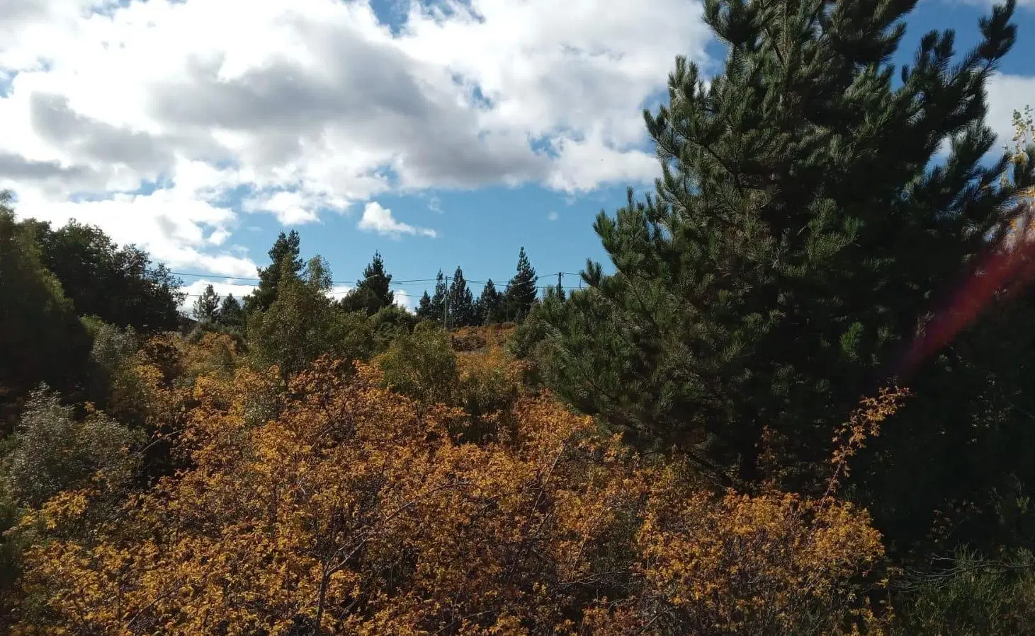 Terreno en Epuyen 5