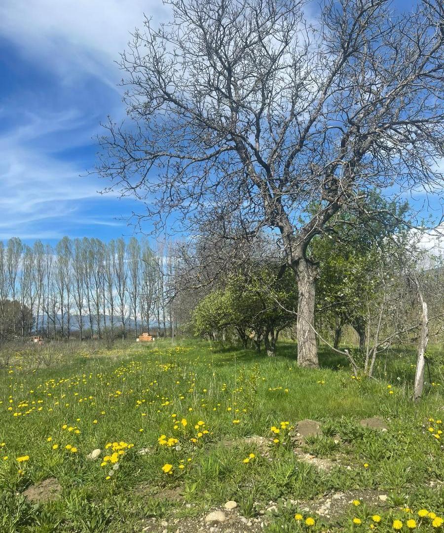 Foto de Terreno El Bolsón, fracciones desde 900 mts2, con gas natural !! barrio, imagen 2