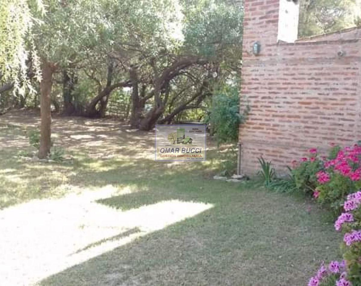 Complejo de Cabañas en Balneario Reta 2