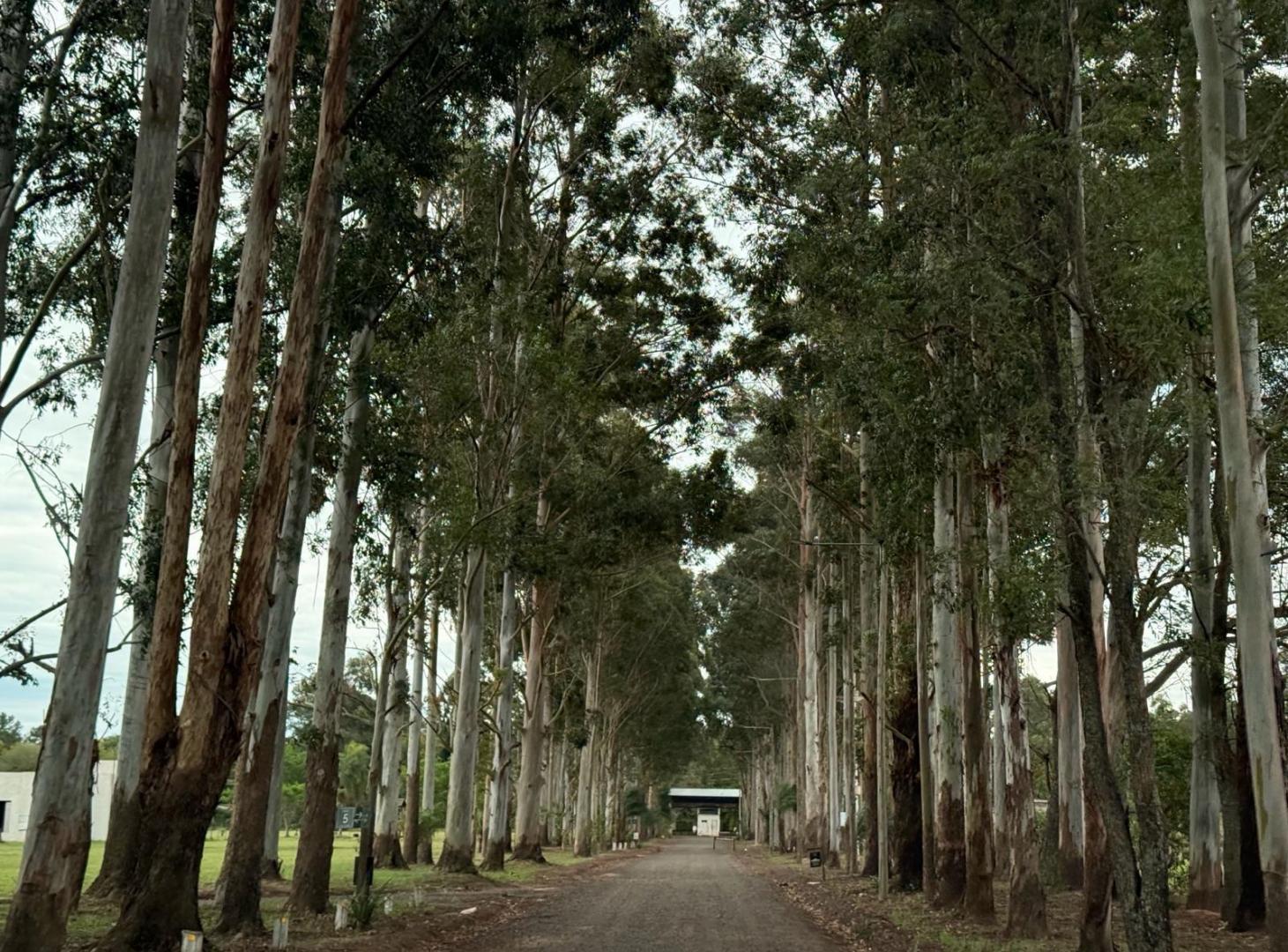 Foto de Lotes en Venta Búfalo Country Club - Corrientes, imagen 3