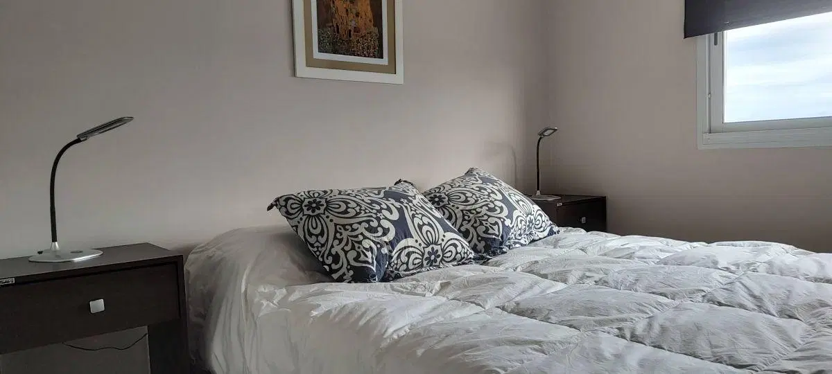 Terreforte 2 - Amoblado de un dormitorio 1