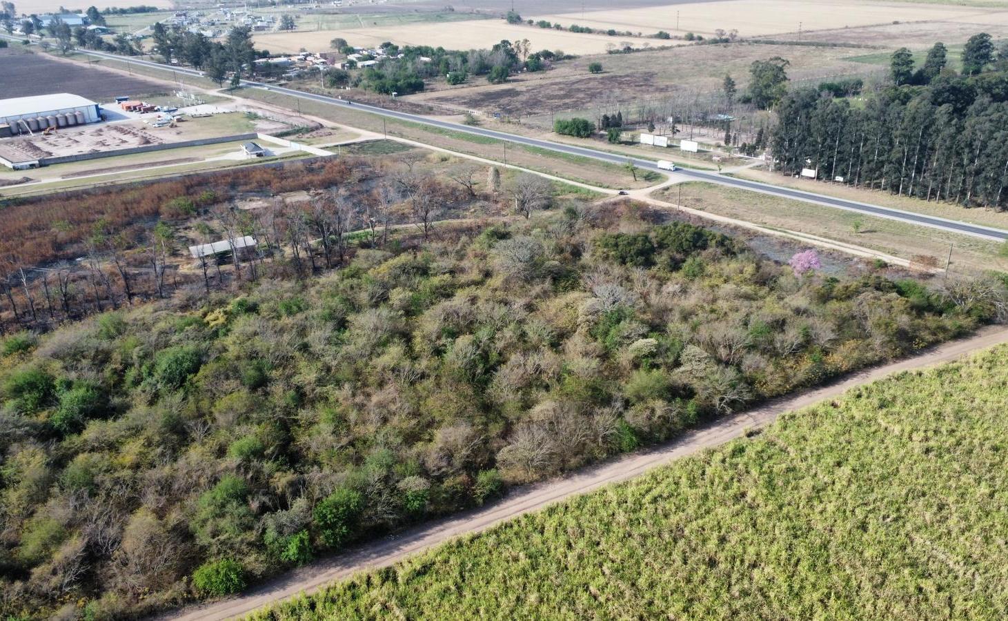 Terreno industrial en Ruta Nacional 9, Km 1281, San Andrés, Dpto. Cruz Alta, Tucumán