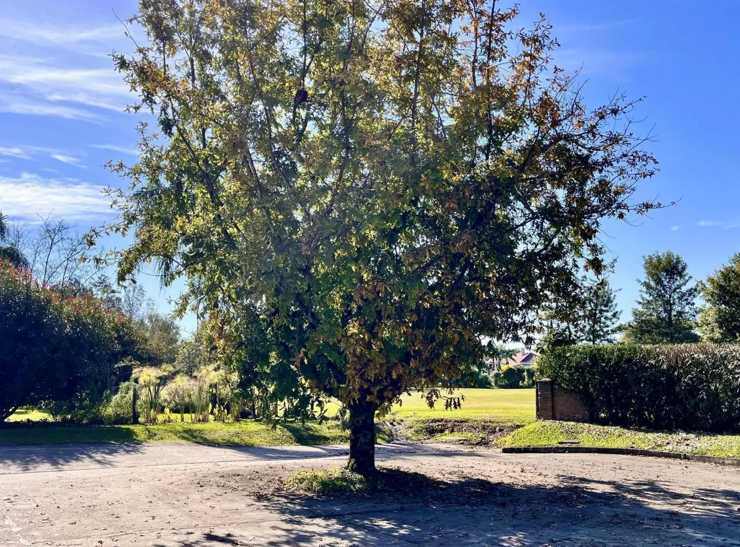 Terreno en Country Jockey Club de Tucumán, Yerba Buena 2