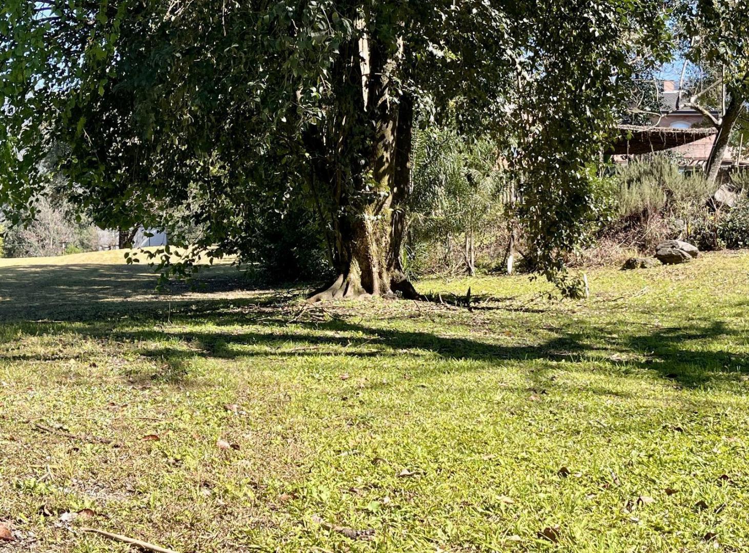 Foto de Terreno en Country Las Yungas, Yerba Buena, imagen 5