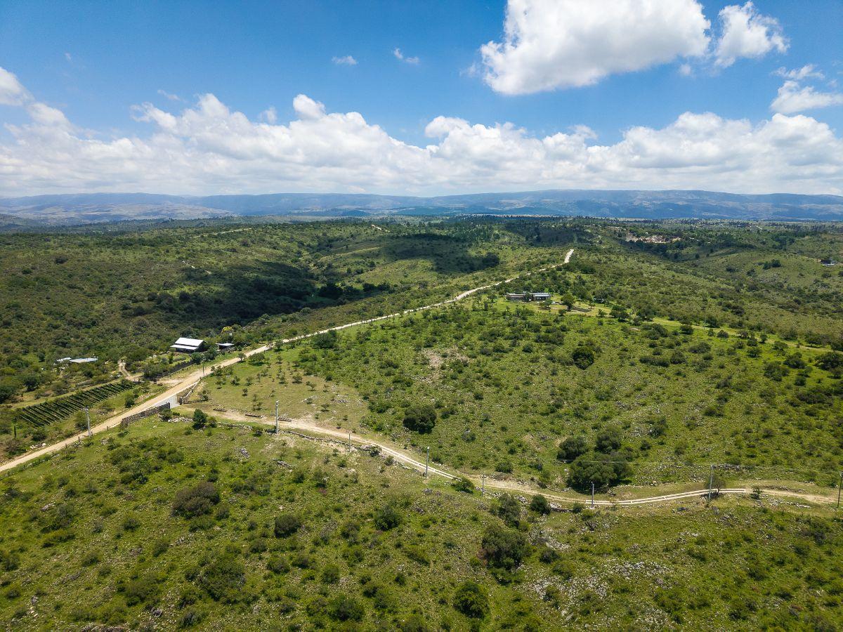 Foto de Terrenos de 6000m² en venta en Potrero de Garay, imagen 3