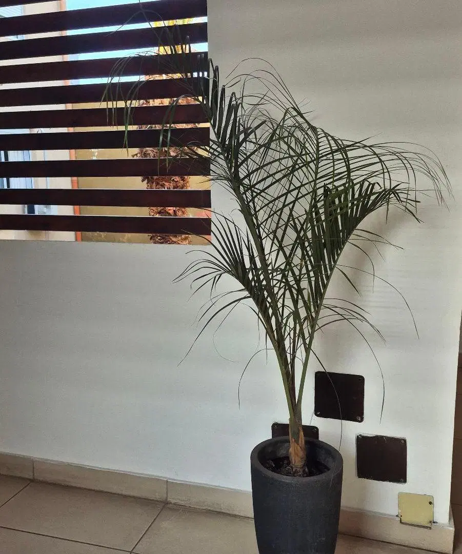 Departamento 2 ambientes en Alquiler - San Fernando 8