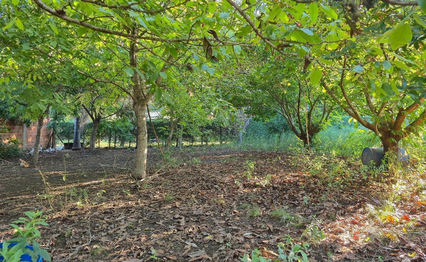 Foto de Terreno En Venta - Loma Verde, imagen 4