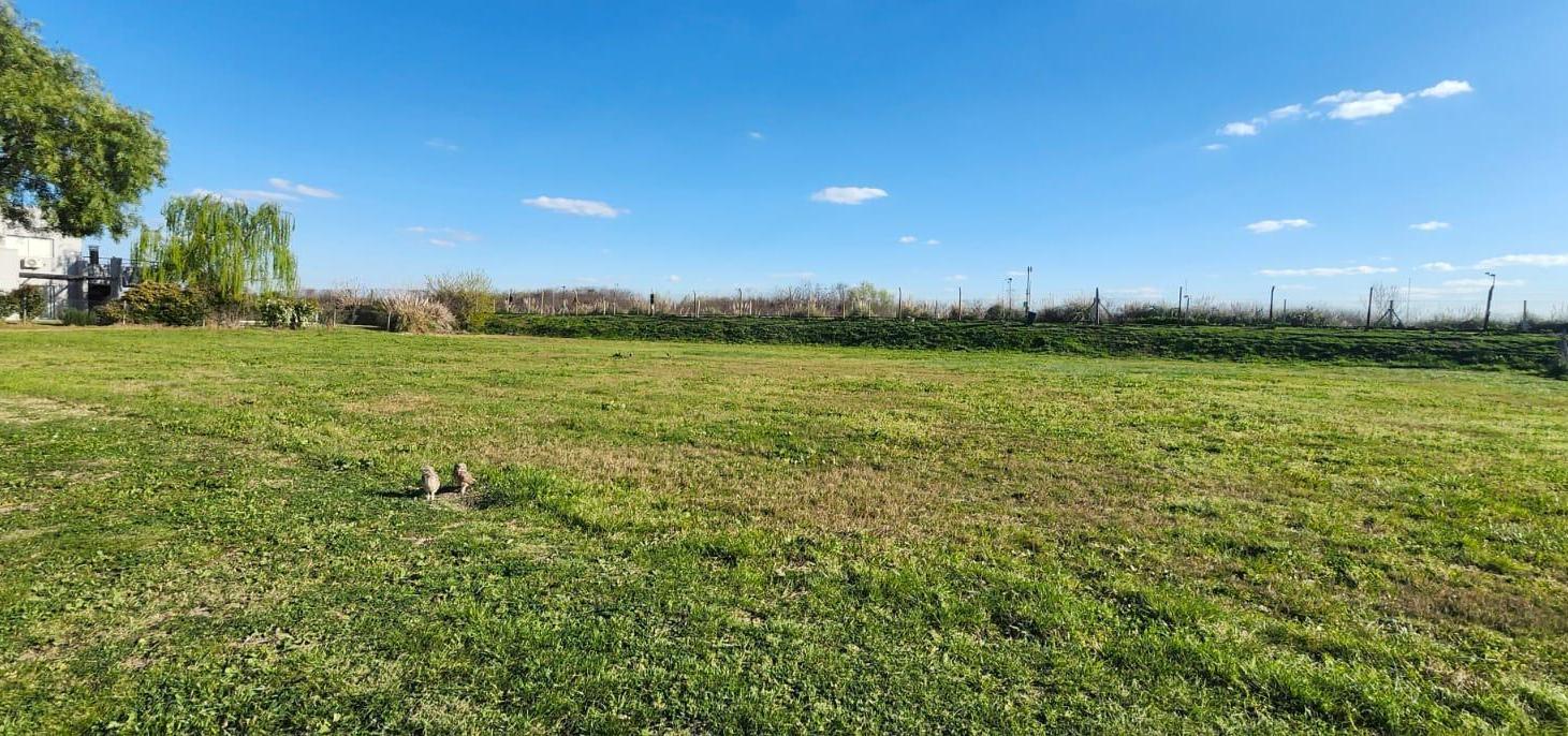 Foto de VENTA LOTE AREA 10 OPORTUNIDAD, imagen 3