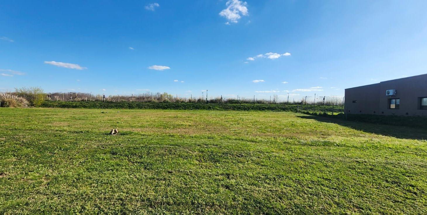 Foto de VENTA LOTE AREA 10 OPORTUNIDAD, imagen 2