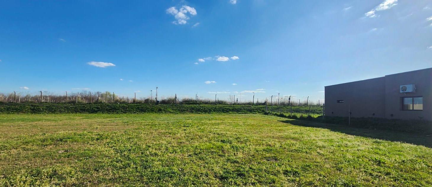 Foto de VENTA LOTE AREA 10 OPORTUNIDAD, imagen 5